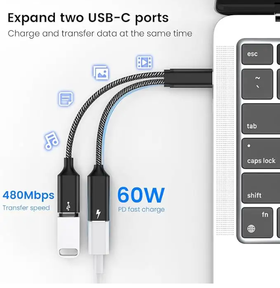 Dual Double USB C Port Cable